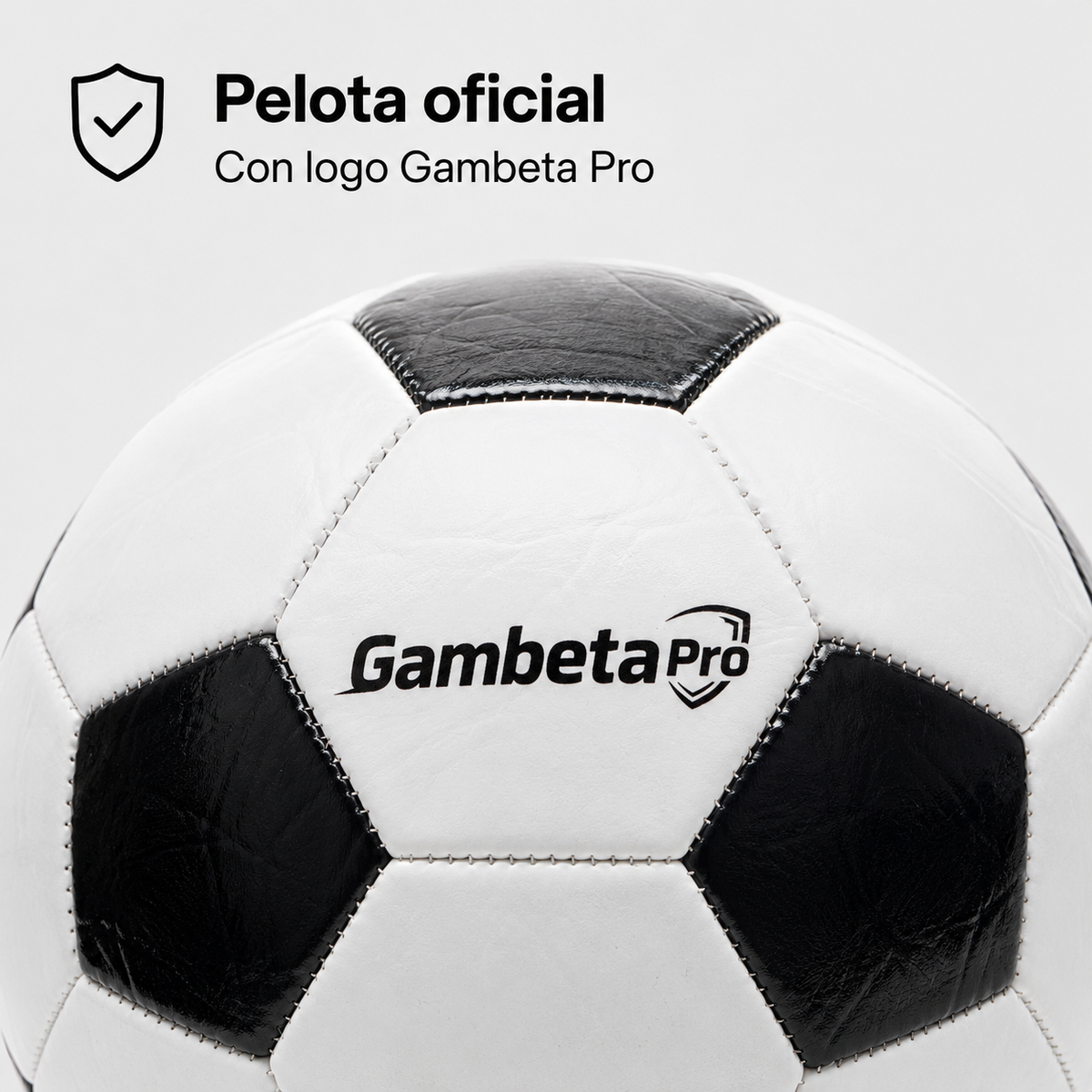 Pelota Oficial